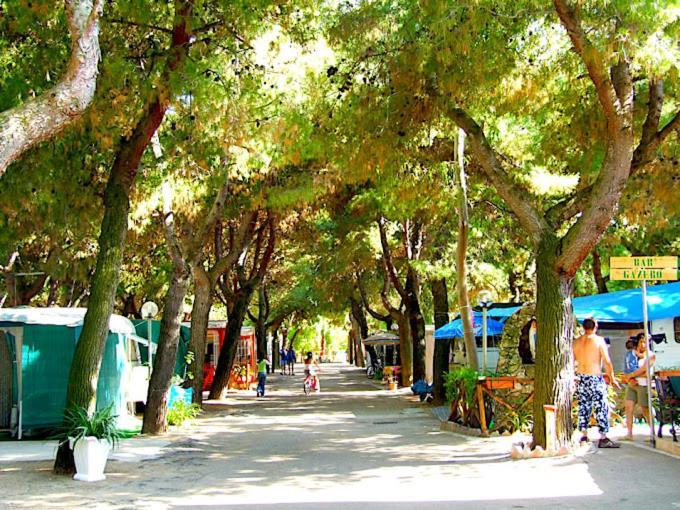 רודי גרגניקו Residence Village Lido Del Gargano מראה חיצוני תמונה