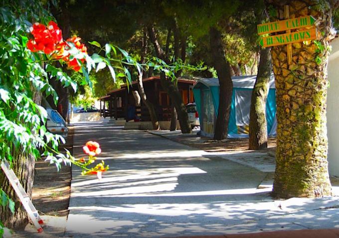רודי גרגניקו Residence Village Lido Del Gargano מראה חיצוני תמונה